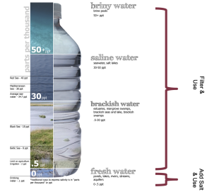 Salinity